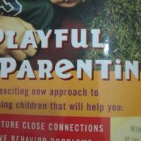 Playful Parenting