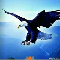 拆分投资服务