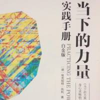 当下的力量实践手册