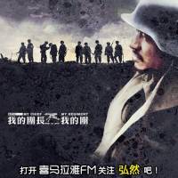 我的团长我的团