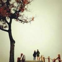 小军妻当自强