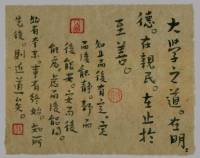 大学