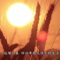 清晨大爱语