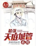 天庭城管系统