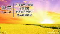 申论 备考