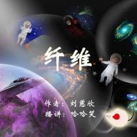 纤维