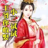 王爷你敢娶小三试试