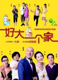 小说《好大一个家》