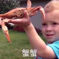 天王盖地虎