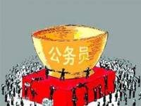 公务员（有声小说）