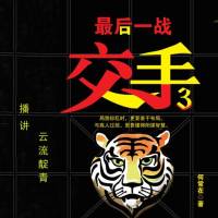 交手3：最后一战