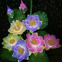 盛和塾学习资料