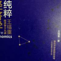 纯粹经济学 王福重