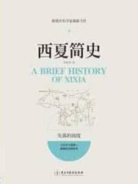 西夏简史