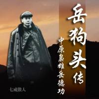 《岳狗头传》中原枭雄岳德功