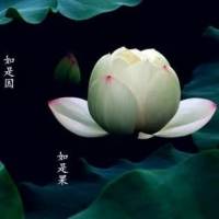 播种幸福