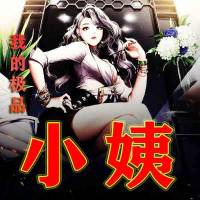 《我的极品小姨》上卷