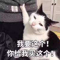 综合能力提升