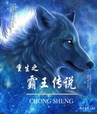 重生之霸王传说