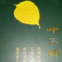 叶不枯-第三部