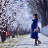 《经济学通识课》