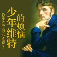 少年维特的烦恼