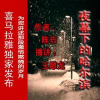 夜幕下的哈尔滨