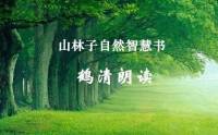 山林子自然道德智慧书 朗诵 鹤清