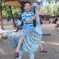 三年级上册