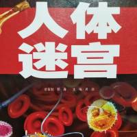 人体迷宫
