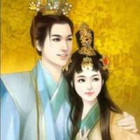 穿越郡主小医妃