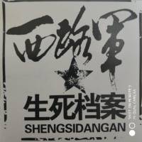 生死档案（西路军征战史二）