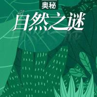自然之谜