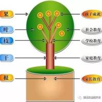 情商教育法