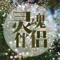 《灵魂伴侣》