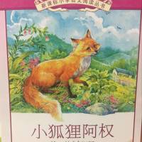 小狐狸阿权