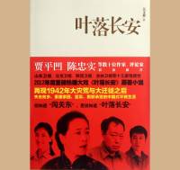 吴文莉长篇小说《叶落长安》