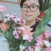 凯旋敏姐