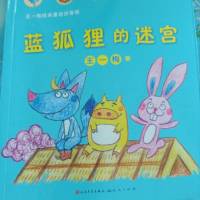 蓝狐狸的迷宫