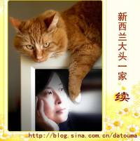 【大头一家 续】