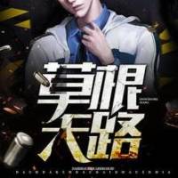 官场屌丝逆袭：草根天路