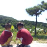 精选绘本|每天10分钟共度一本书