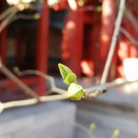 紫禁城里的往事