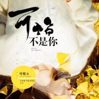 可惜不是你