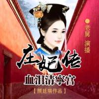 庄妃传/支撑起大清根基的女人
