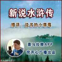 书说天下之新说水浒传
