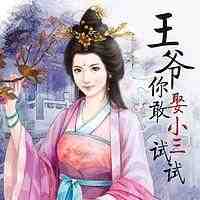 王爷你敢娶小三试试