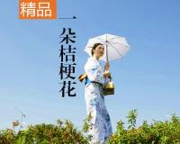 一朵桔梗花|东野圭吾力推的精品