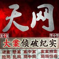 天网丨大案纪实