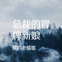 总裁的冒牌新娘
